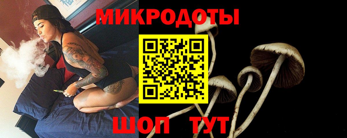 Галлюциногенные грибы Cubensis  купить закладку  Свободный  Вход с VPN 